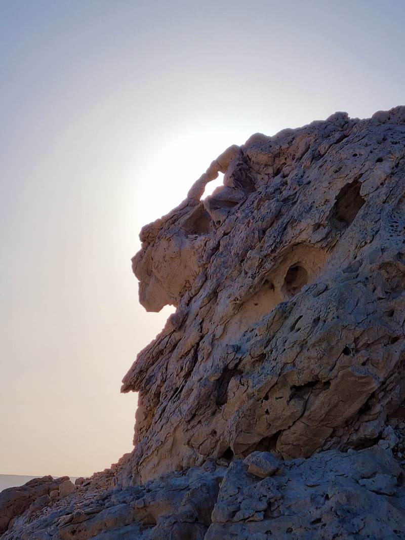 A rock formation that looks like a lion's head
