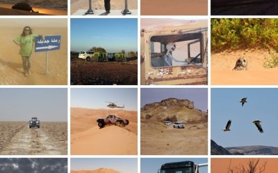 1001 Xpedition Arabia Nights