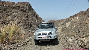 A nissan patrol drives through a narrow gorge near Nakel, Oman