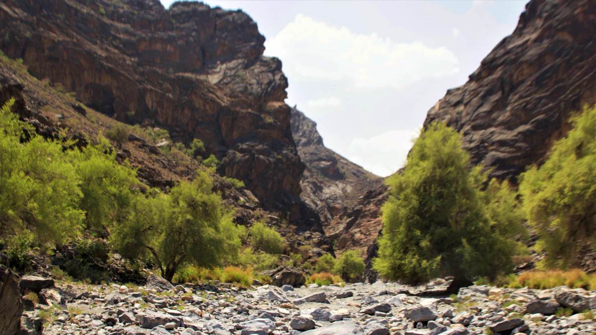 A view down the valley of Little Snake Gorge along the Wadi Bani Auf trail