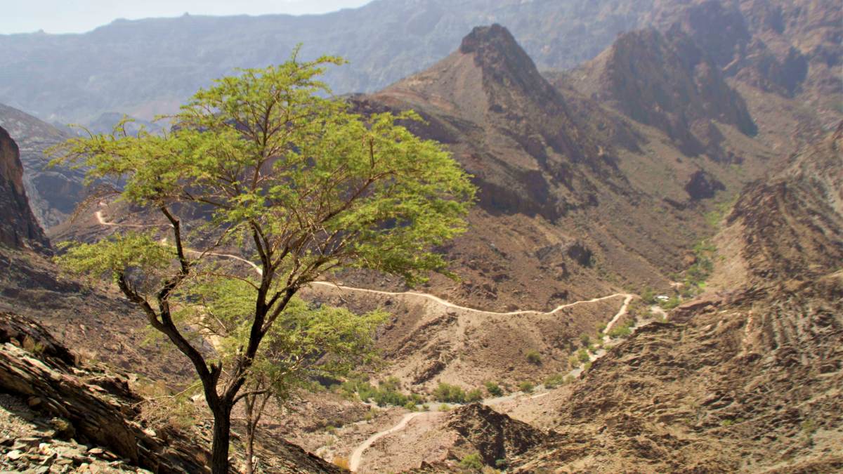 A view down into the valley showing the track through Wadi Bani Auf