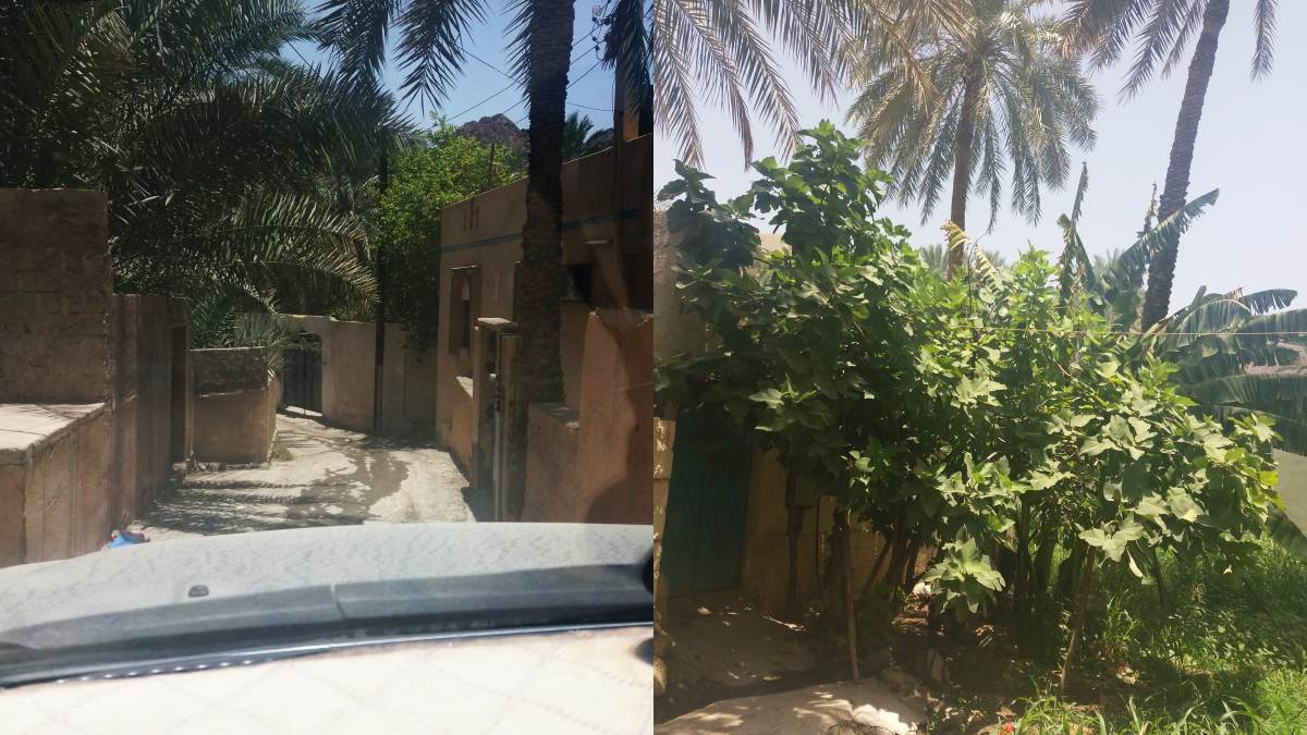 Two views of the narrow streets of a village just off of the Wadi Bani Hinay route along the wadi