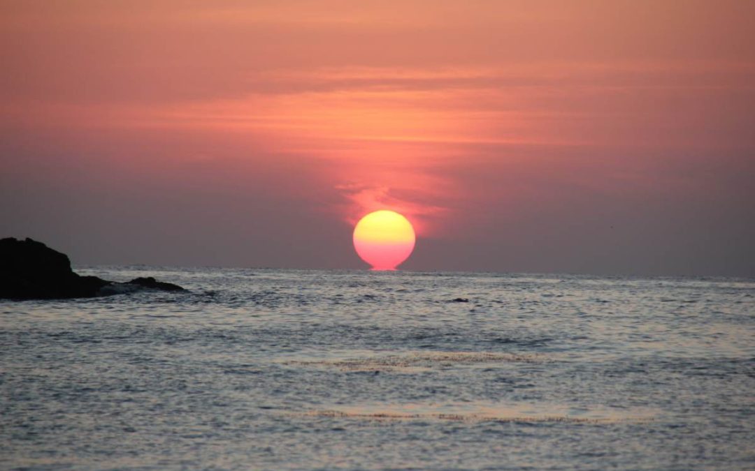 Seaside Saunter To Salalah