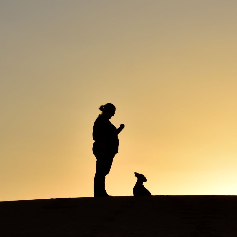 Silhouette picture of woman with her Dachound