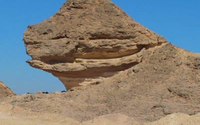 Shoof Oman: 016