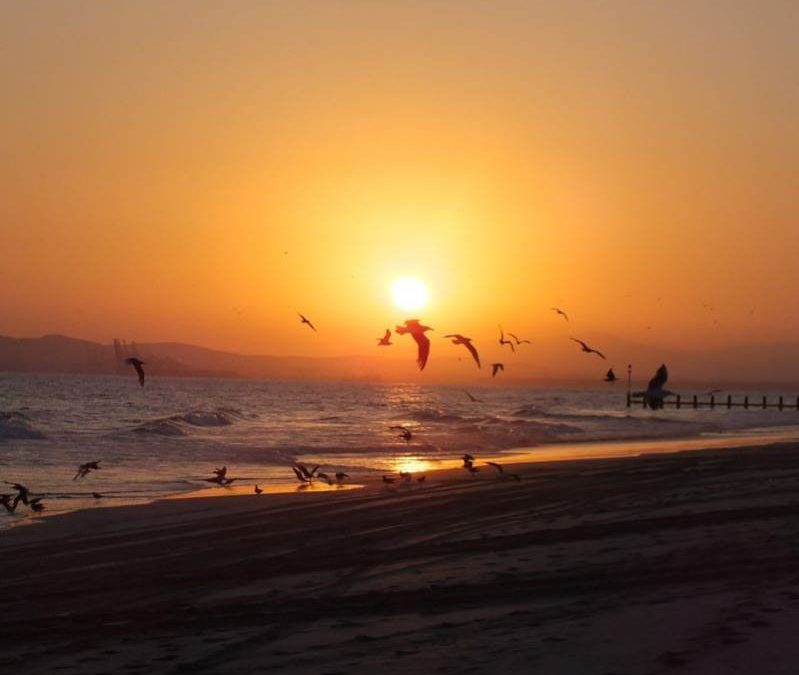 Shoof Oman: 021