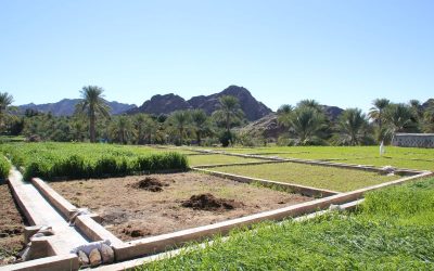 Shoof Oman: 022