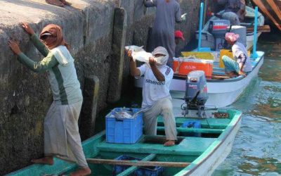Shoof Oman: 023