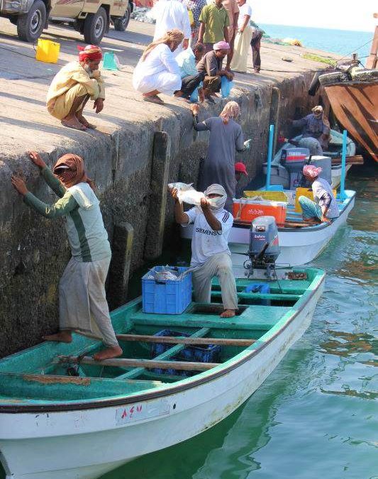 Shoof Oman: 023