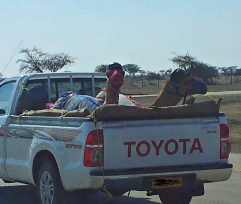 Shoof Oman: 024