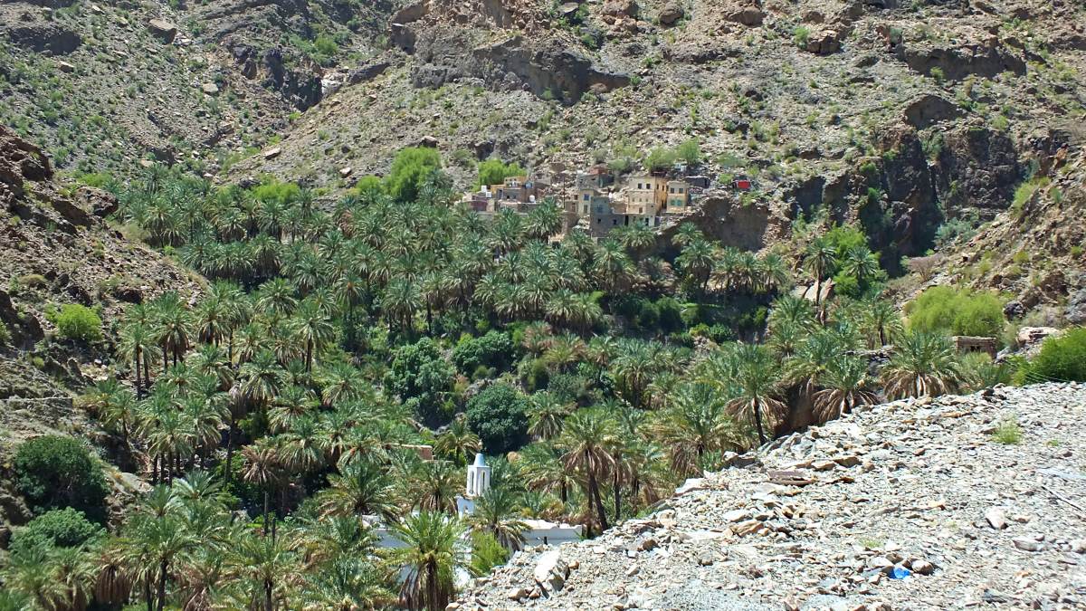 A village along Wadi Sahtan with a large amount of Dat Palms growing around the settlement