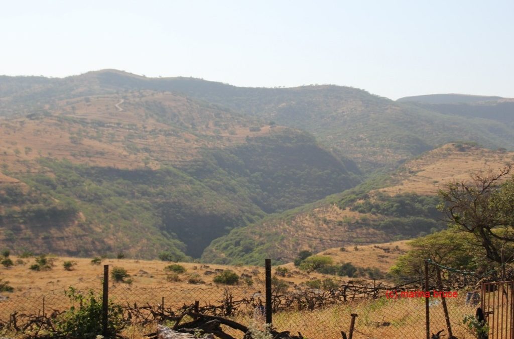 “High” in Salalah