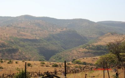 “High” in Salalah
