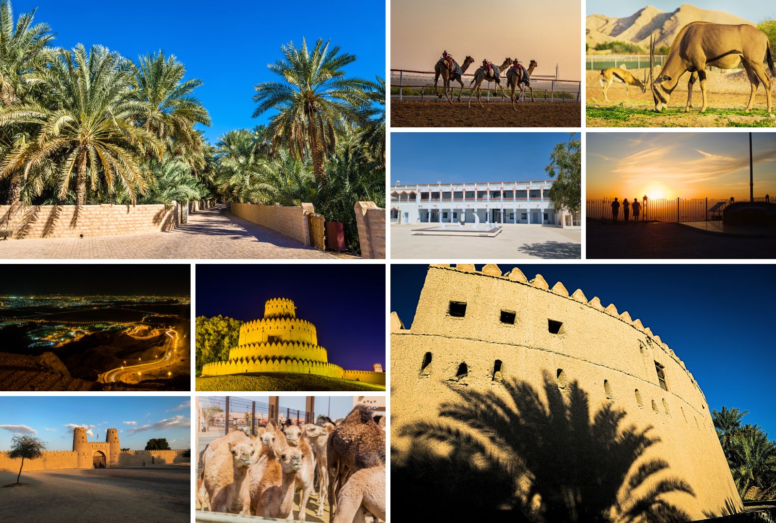 A collage of the sites in Al Ain, UAE
