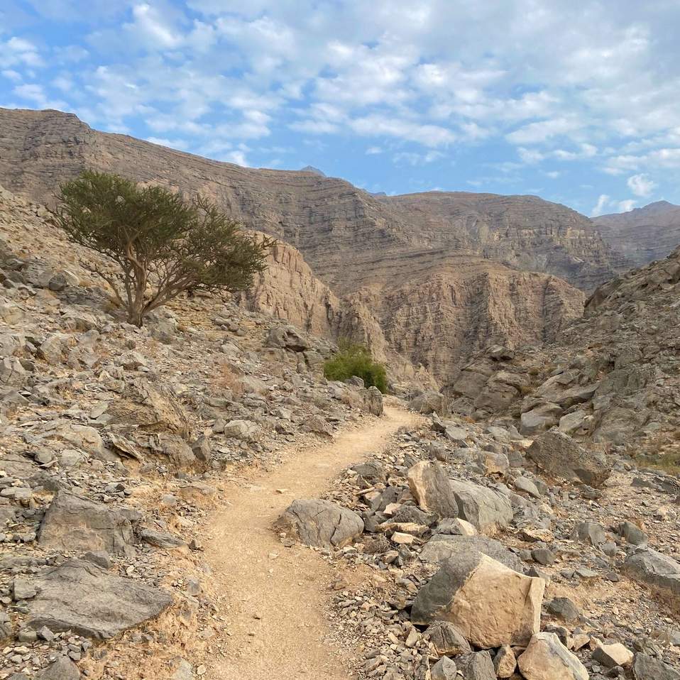 UAE Hajars by Glimpses of the UAE - Arabian Cities and Sands A rough track winding its way through the Hajar Mountains