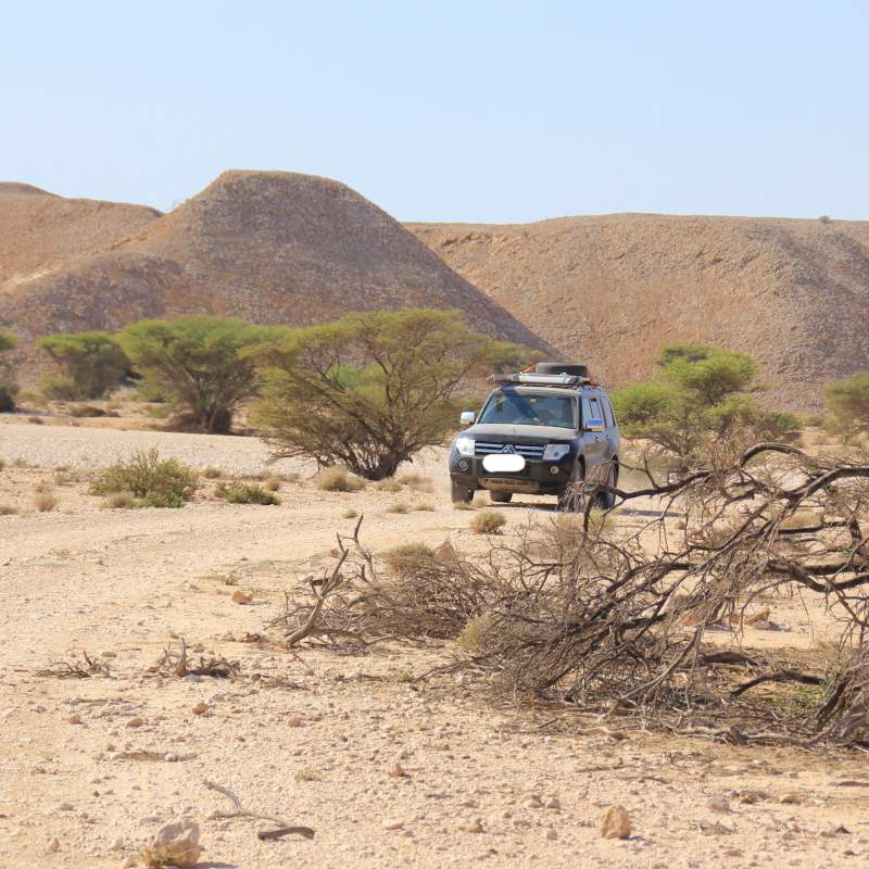 dhofar pajero small square - Arabian Cities and Sands A Mitsubishi Pajero winds its way between acacia trees in the Dhofar Region, Oman
