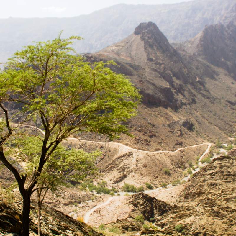 wadi bani auf - Arabian Cities and Sands