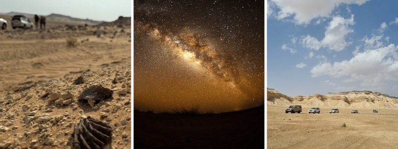 A collage of desert scenes