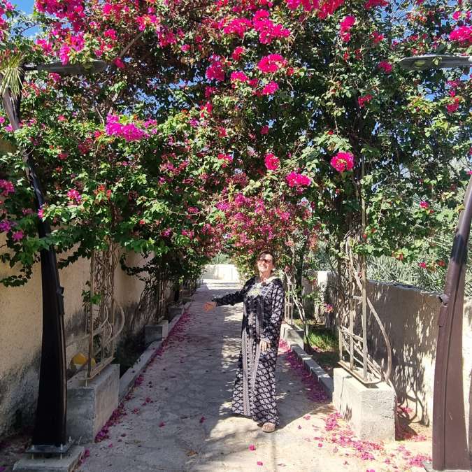 bouganvilla arch in falaj sarah