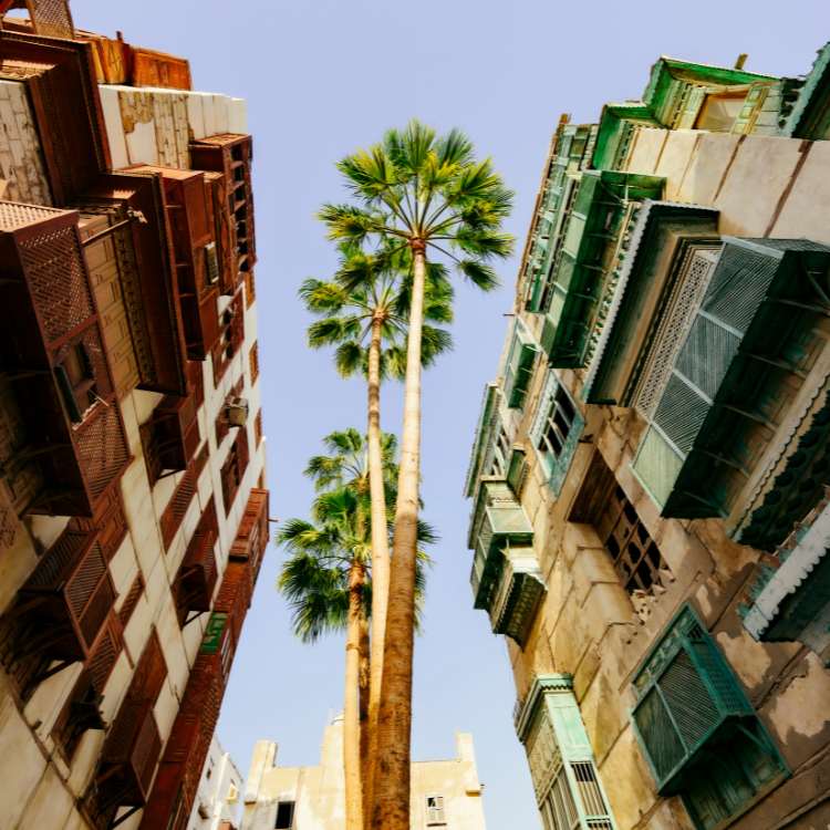 old buildings and palms at Al Bilad