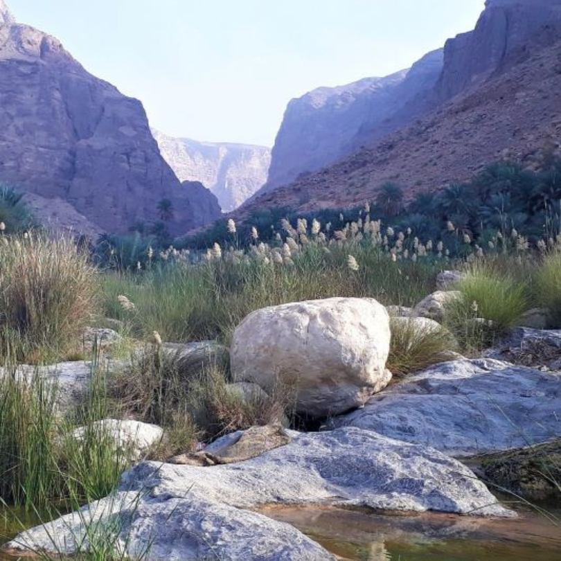 stones and a stream in a wadi with dramatic mountain backdrop