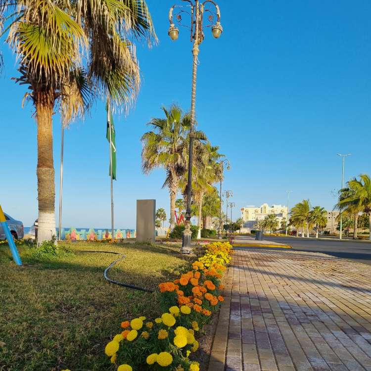 red sea corniche