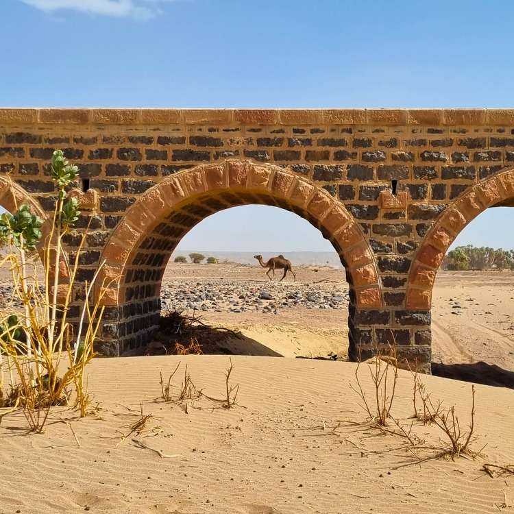 old railway bridge wth camel in background
