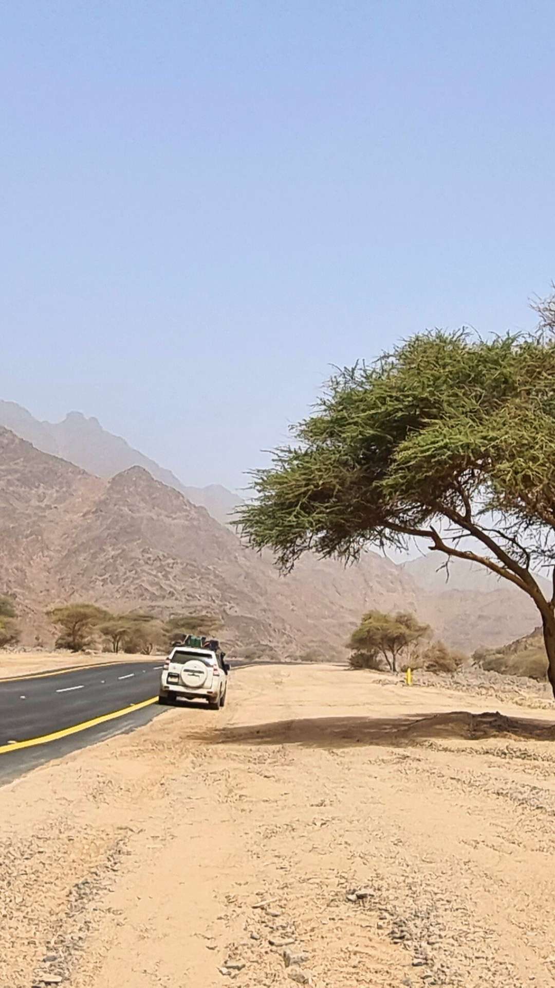car parked by the side of a road, tree and mountains