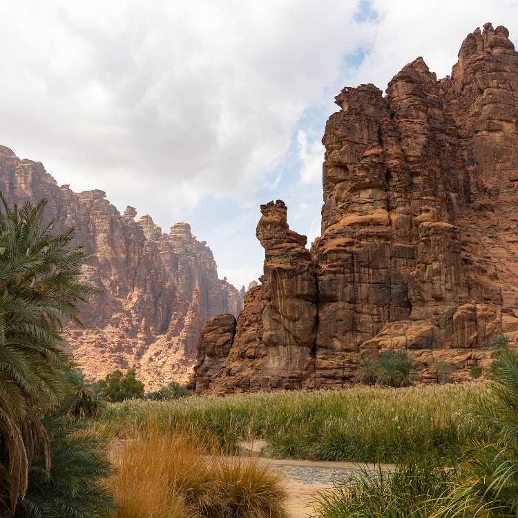 sandstone mountains tower over a lush green wadi