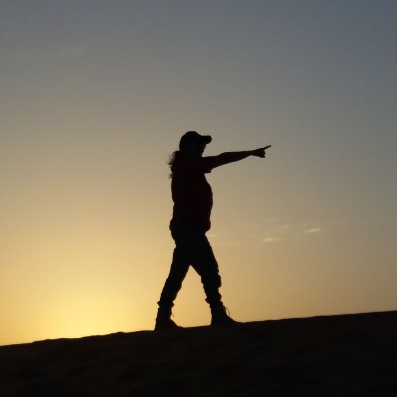 silhouette of the desert diva
